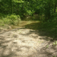 Image for article titled I Almost Killed Myself By Taking A Scooter On An Off-Road Adventure
